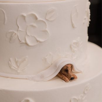 Cakes by Gina - Bakeries Near Me - Houston, Texas Cakes by Gina - Bakeries Near Me - Houston, Texas