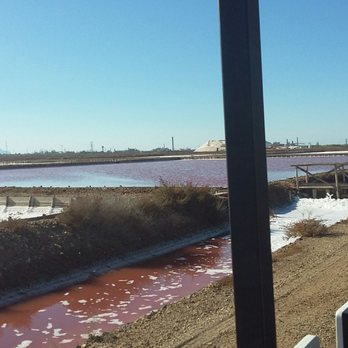 Saline Conti Vecchi - Bus Tours Near Me - Assemini