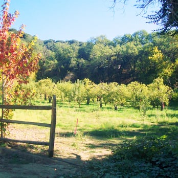 Riley's Farm - orchards - Fruits & Veggies Near Me - Oak Glen, California
