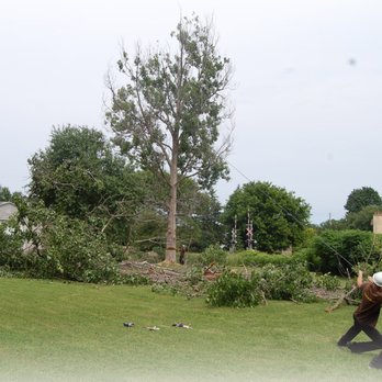 Alexander Tree Care - Tree Services Near Me - Newmarket, Ontario
