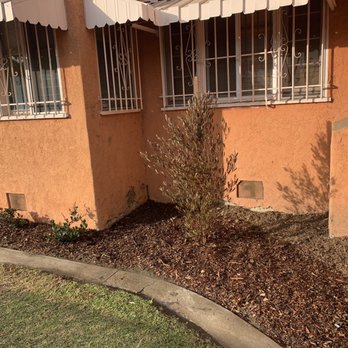 MC Landscaping - Dodonea Viscosa & Indian Hawthorne - Landscaping Near Me - Lakewood, California MC Landscaping - Dodonea Viscosa & Indian Hawthorne - Landscaping Near Me - Lakewood, California