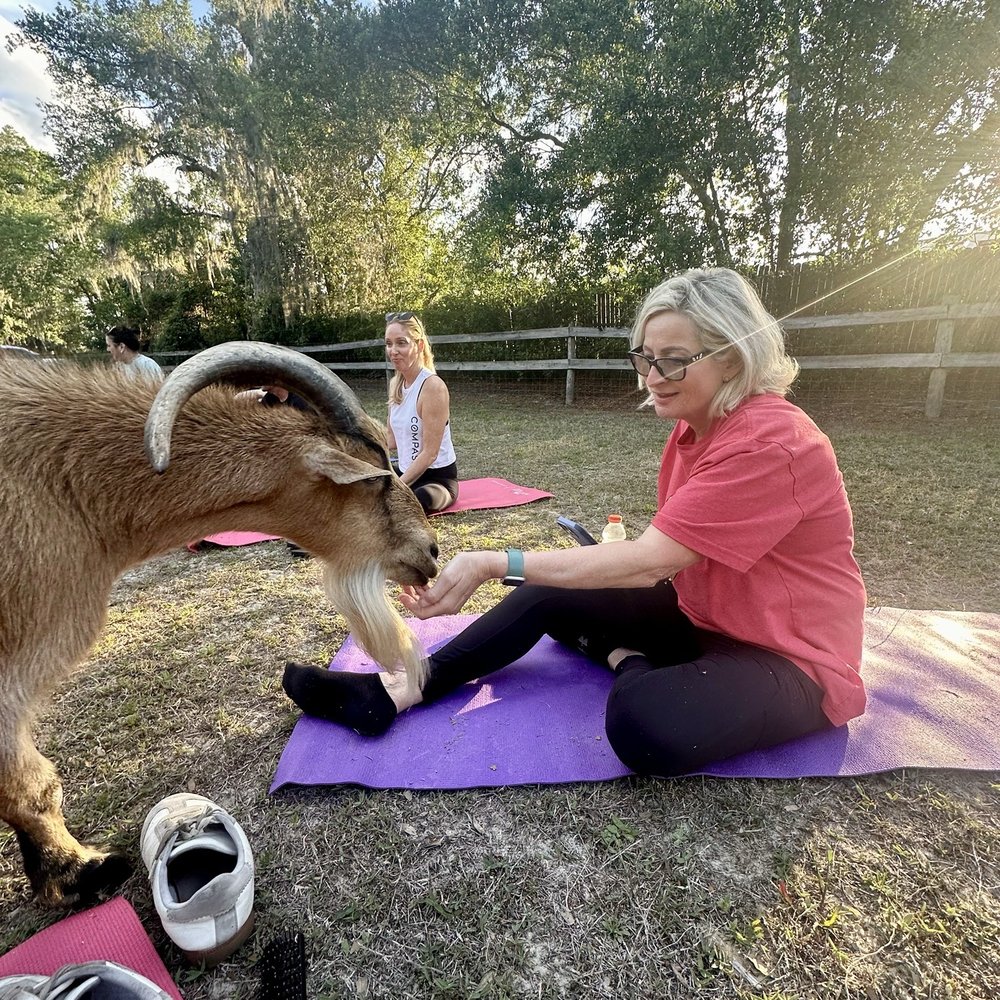 Happy Goat Adventures - Paddleboarding Near Me Happy Goat Adventures - Paddleboarding Near Me