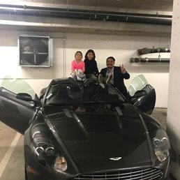 CEO s stallion CEO s stallion