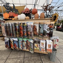 Some of the Fall home decor currently at SKH