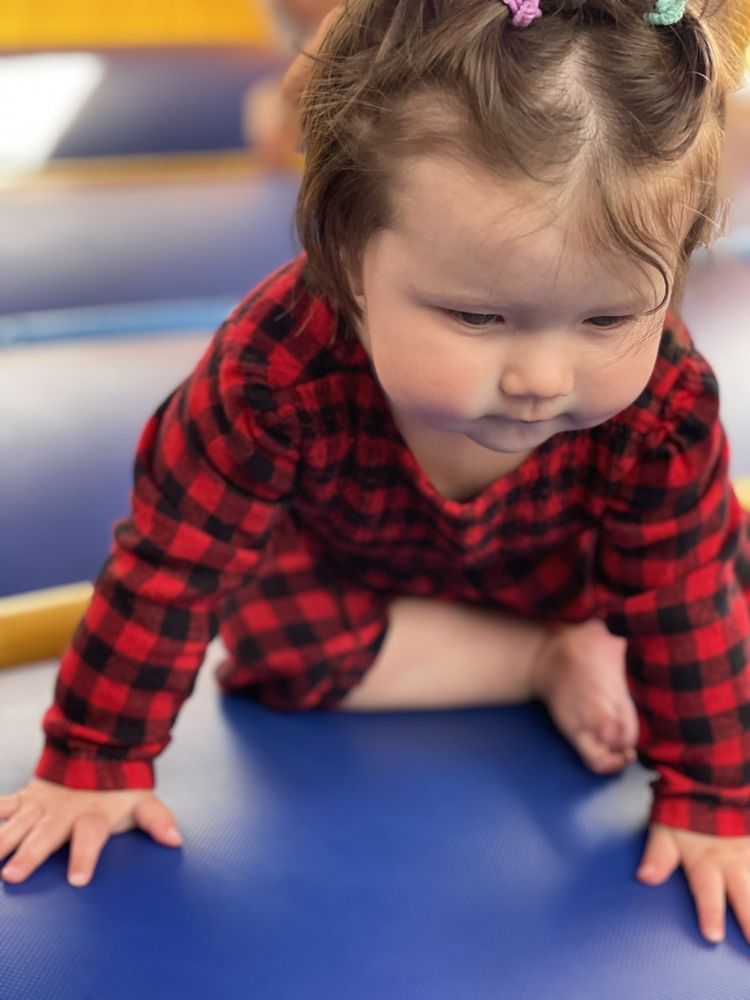 LESLIES PARTY RENTAL 38 Photos & 72 Reviews 10092 Mills Ave