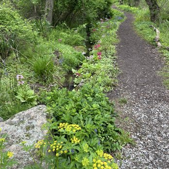 New Jersey Botanical Garden - Walking path - Parks Near Me - Ringwood, New Jersey