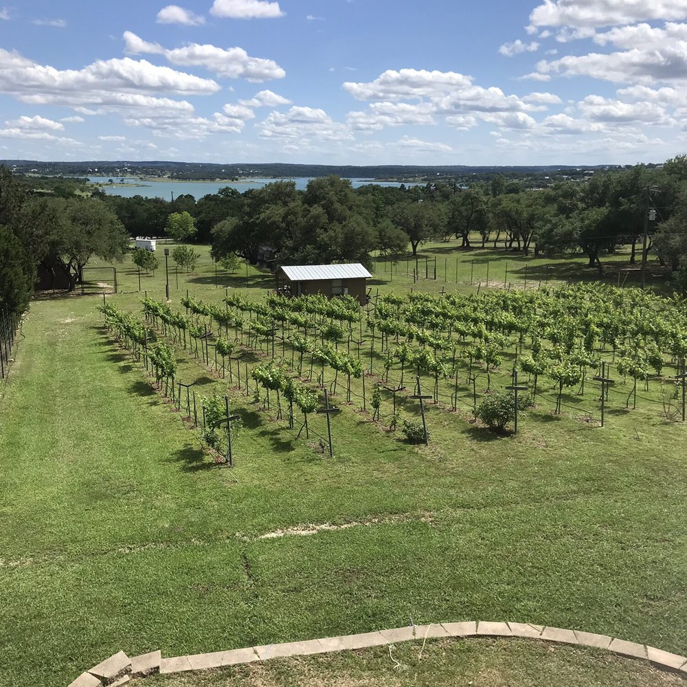 Fawncrest Vineyard - a view of the vineyard from the top of the hill - Wineries Near Me - Canyon Lake, Texas