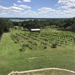 Fawncrest Vineyard