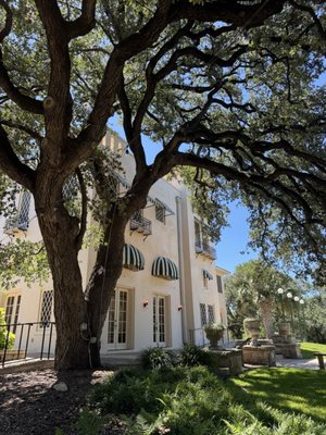 The Contemporary Austin - Laguna Gloria by null