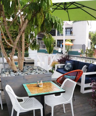 Juicy Ladies by null