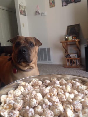 Popcorn Colonel by null