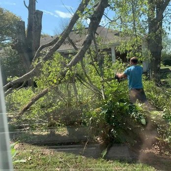 Daley's Tree Service - Tree Services Near Me - Lake Charles, Louisiana Daley's Tree Service - Tree Services Near Me - Lake Charles, Louisiana