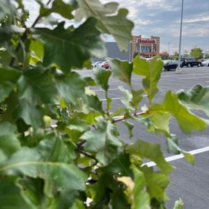 TJ MAXX - Updated July 2024 - 24 Photos & 37 Reviews - 161 W Wisconsin