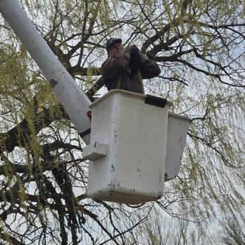 Two Guys Trimming - Tree Services Near Me - Jefferson, Wisconsin Two Guys Trimming - Tree Services Near Me - Jefferson, Wisconsin