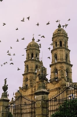 Basílica de Nuestra Señora de Zapopan by null