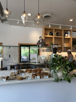 Fiddlehead Fern Cafe by null