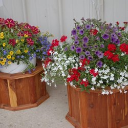 Old Wagon Flea Market - We love our Flowers!!!