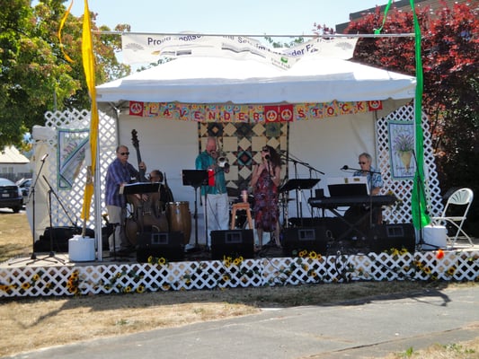 Sequim Lavender Festival by null