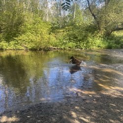 Wantage Dog Park