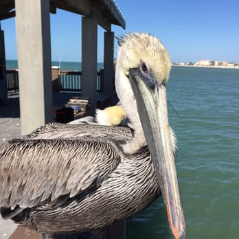 Clearwater Beach - Beaches Near Me
