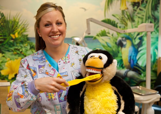 Children's Dental Health of Lancaster - patient advocate in Lancaster, PA