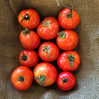 Village Marketplace - Fresh local, organic slicing tomatoes from The Little Farm. - Specialty Food Near Me - Macon, Georgia Village Marketplace - Fresh local, organic slicing tomatoes from The Little Farm. - Specialty Food Near Me - Macon, Georgia