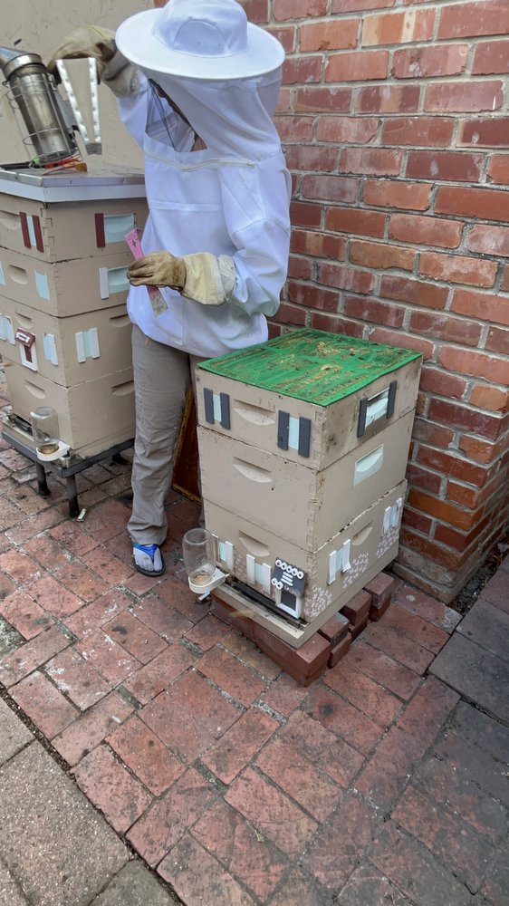 PurrFect Honey - beekeeping in San Jose, CA
