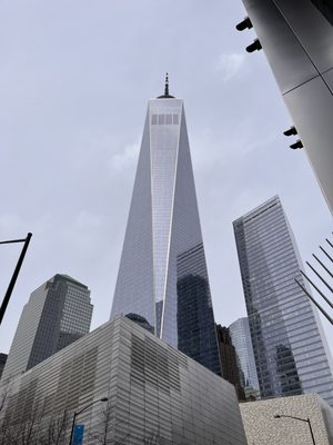 USA Guided Tours by null
