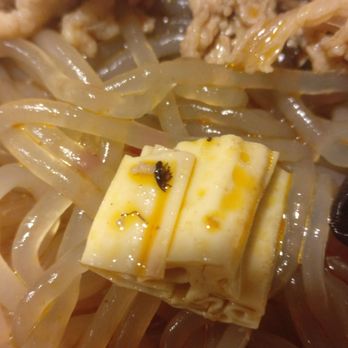 LaoMa MaLaTang - Szechuan Near Me - Flushing, New York