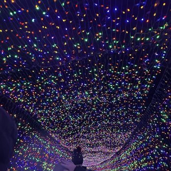 Oregon ZooLights - Zoos Near Me - Portland, Oregon Oregon ZooLights - Zoos Near Me - Portland, Oregon