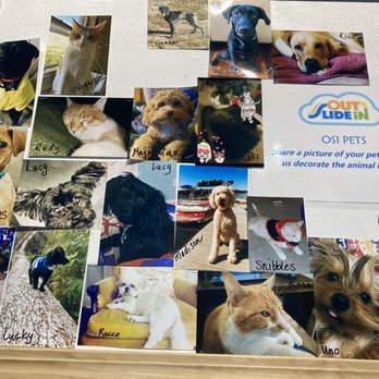 OutSlide In - Pet board! - Indoor Playcenter Near Me - Charleston, South Carolina