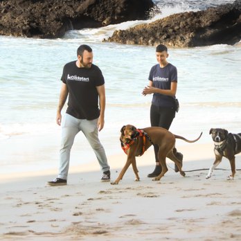 Clickstart Dog Training Academy - The Clickstart Team! - Pet Training Near Me Clickstart Dog Training Academy - The Clickstart Team! - Pet Training Near Me