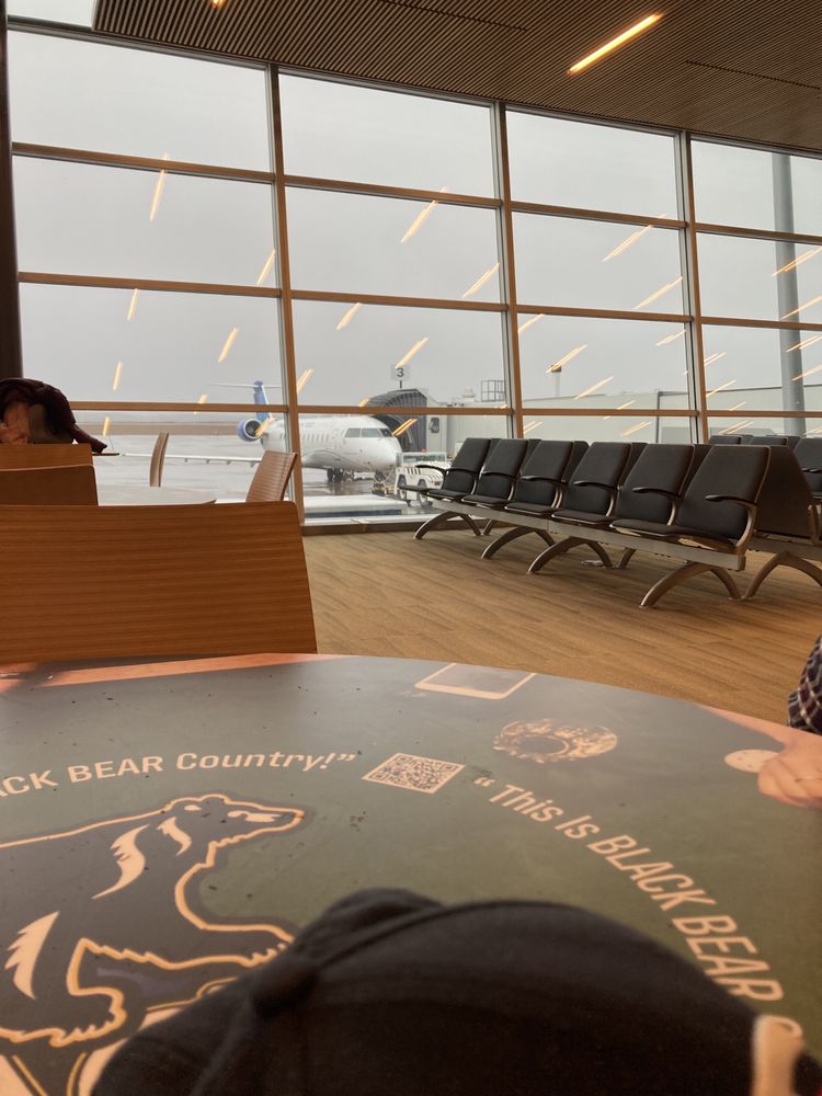 DULUTH INTERNATIONAL AIRPORT Updated September 2024 18 Photos & 38