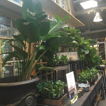 Terrain Cafe - New American Near Me - Westport, Connecticut Terrain Cafe - New American Near Me - Westport, Connecticut