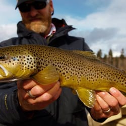 The Missoulian Angler Fly Shop - Clark Fork River Fly Fishing