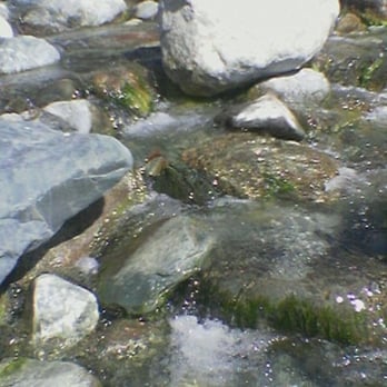 Limekiln State Park - Find Huge Rocks O' Rose/Pink/Green/Bluish Jade! - Campgrounds Near Me - Big Sur, California