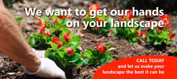 Irrigation by Design