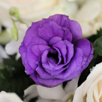 Lake View Florist - Florists Near Me - San Marcos, California