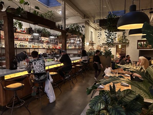 Fern Bar by null