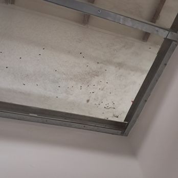 Tractor Supply - Rat feces above dog wash. - Department Stores Near Me - Grants Pass, Oregon Tractor Supply - Rat feces above dog wash. - Department Stores Near Me - Grants Pass, Oregon