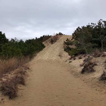 Jockey's Ridge State Park - Hike up - Parks Near Me - Nags Head, North Carolina Jockey's Ridge State Park - Hike up - Parks Near Me - Nags Head, North Carolina