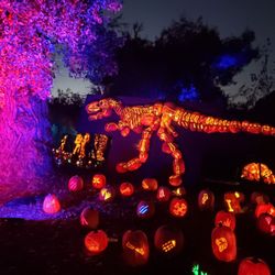 Whittier Narrows Recreation Area - Magic of the Jack o Lanterns