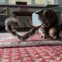 Photo of Die Futterkiste