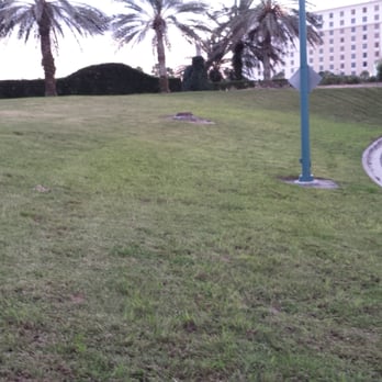 Kennels At Universal Studios - Grass area out back. - Pet Sitting Near Me - Orlando, Florida