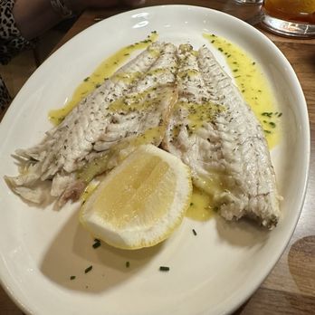 Molyvos - Wine Bars Near Me - New York, New York