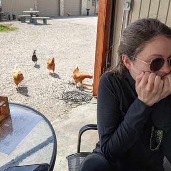 Prodigy Vineyards & Winery - The chicken sighting was unexpected and a little scary at first! - Music Venues Near Me - Versailles, Kentucky Prodigy Vineyards & Winery - The chicken sighting was unexpected and a little scary at first! - Music Venues Near Me - Versailles, Kentucky