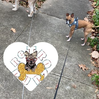 Retro Pupz - H & H enjoying their walk with Retro Pupz! - Pet Services Near Me Retro Pupz - H & H enjoying their walk with Retro Pupz! - Pet Services Near Me