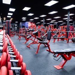 DomNation Fitness