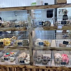East Northport Bagel Cafe - Bagels