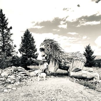 RITA THE ROCK PLANTER - Updated February 2026 - 66 Photos & 13